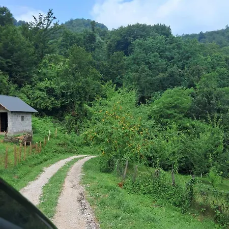 Dom wakacyjny Dijanin Zvornik