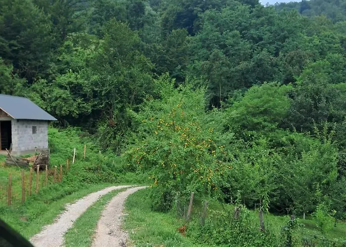 Сasa de vacaciones Dijanin Zvornik